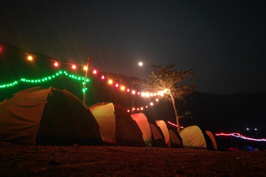 New Year Malshej Ghat Jungle Camping