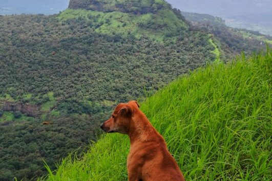 Kaulyachi Dhar & Nakhind Ghat Trek